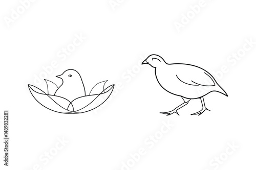 Simple outline illustration of a bird in a nest and a quail on a white background