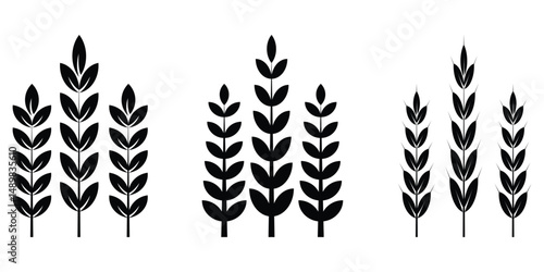  wheat ears icon vector,   wheat icon set.