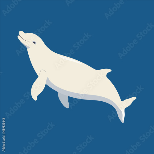 vector illustration of a dolphin