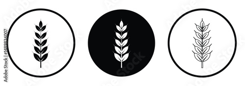  wheat ears icon vector,   wheat icon set.