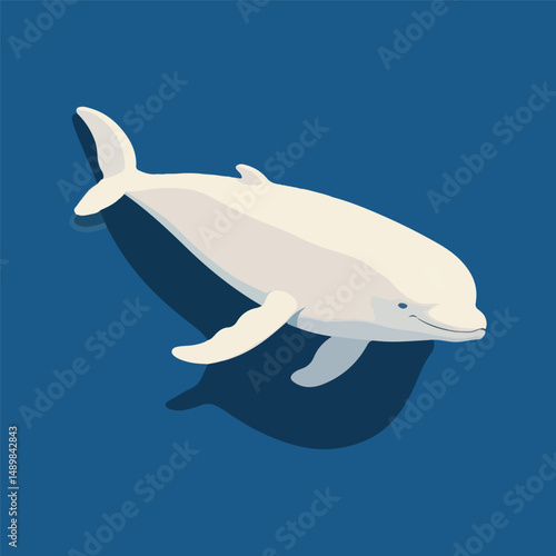 vector illustration of a dolphin