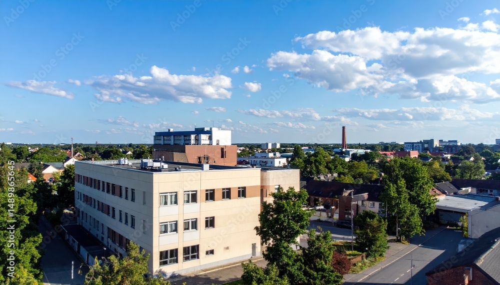 Fototapeta premium Rooftop View of Various Buildings Including Hospital and School