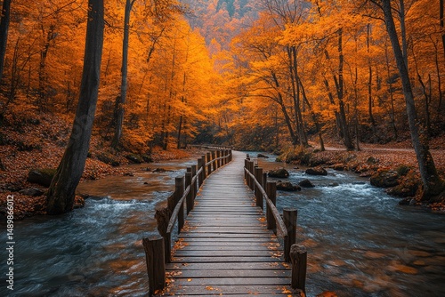 Autumnal forest path leading over a babbling brook.