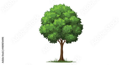Diverse Illustrated Trees Collection for Design & Education