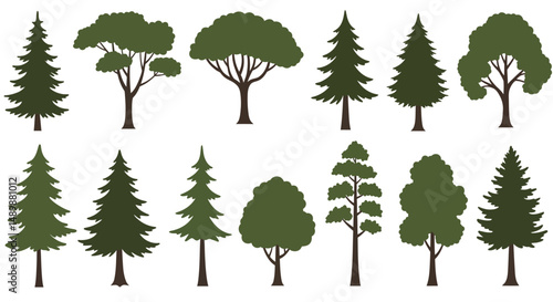 Diverse Illustrated Trees Collection for Design & Education