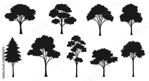 Diverse Illustrated Trees Collection for Design & Education