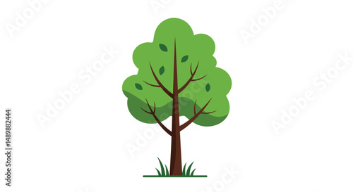 Diverse Illustrated Trees Collection for Design & Education