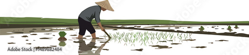 Minimalist Rice Planting Vector