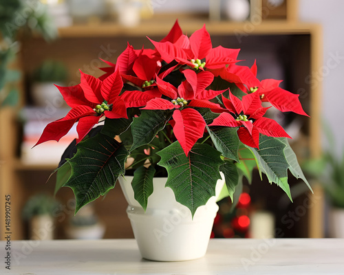 Wallpaper Mural Beautiful Red Poinsettia Plant In White Pot Symbol Of Christmas Season Torontodigital.ca