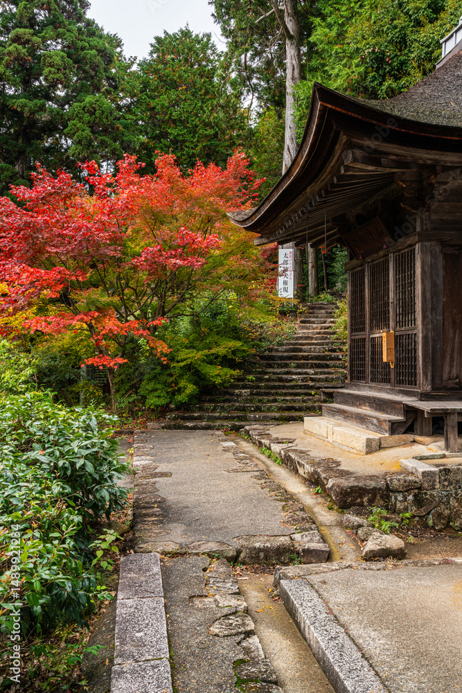 Obraz premium The beautiful Chomeiji Temple during fall season, on Lake Biwa, near the town of Omihachiman. Shiga Prefecture, Japan.