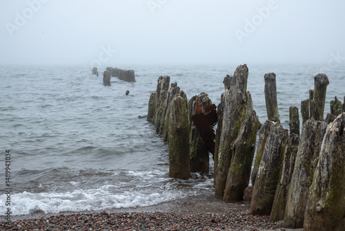 Wallpaper Mural A foggy beach scene with weathered wooden posts stretching into the sea. Soft sand and moody light evoke quiet solitude and timeless decay along a forgotten shoreline. Torontodigital.ca