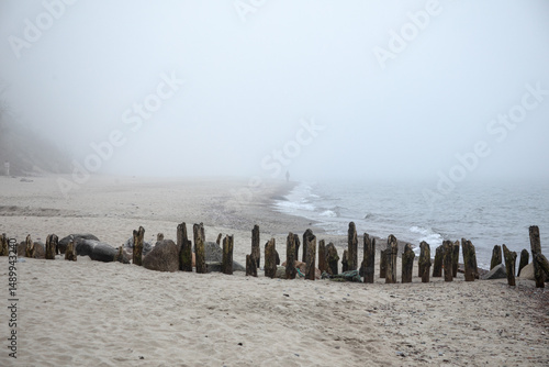 Wallpaper Mural A foggy beach scene with weathered wooden posts stretching into the sea. Soft sand and moody light evoke quiet solitude and timeless decay along a forgotten shoreline. Torontodigital.ca