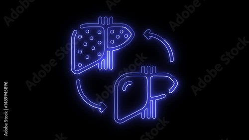 Liver Transplant Icon HD Video black background