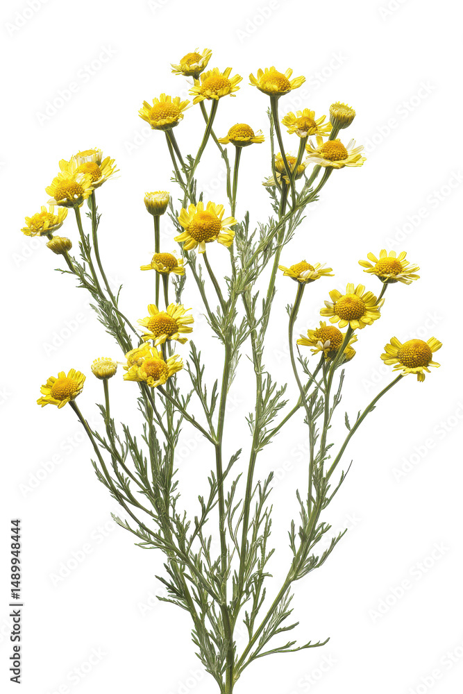 Fototapeta premium Vibrant Yellow Artificial Flower Spray Perfect for Home Decor and Crafts