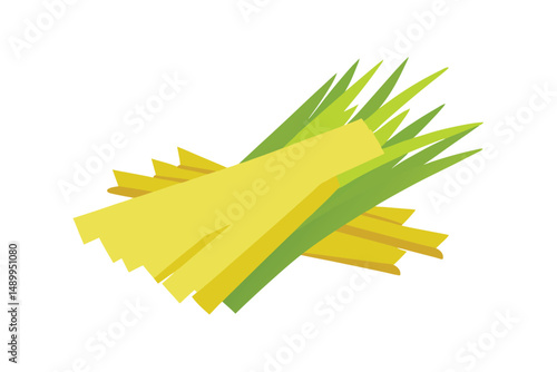 celery sticks isolated on white background