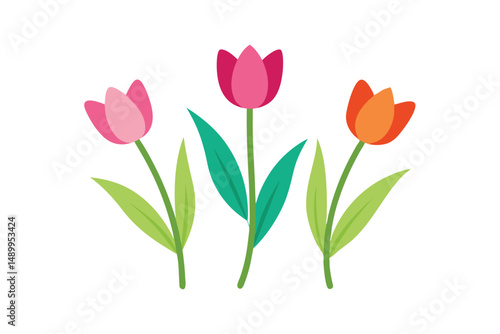 red tulips on white background
