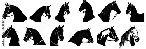 Set of twelve black and white equestrian horse head silhouettes in profile view with bridles and varied mane styles minimalist vector illustration collection