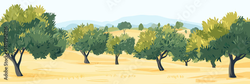 Olive grove landscape with lush green olive trees growing on golden dry terrain under clear sky in minimalist flat vector style