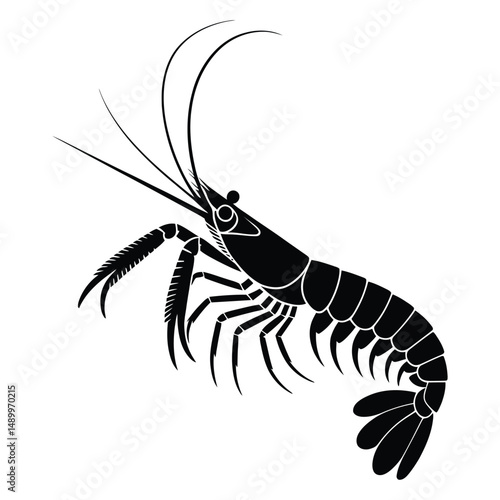 Peacock Mantis Shrimp Strike Silhouette, Vector, Illustration, Icon, Logo, White Background.