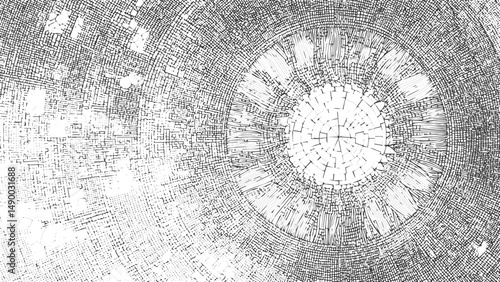 Wood texture cross section of tree rings. Cut slice of wooden stump isolated on white. Textured, Tree wood texture. Wooden old trunk. Cut timber log. Abstract rings nature pattern. 