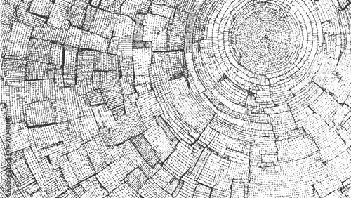 Wood Tree Rings Vector, Tree log, wood growth rings grunge texture vector illustration