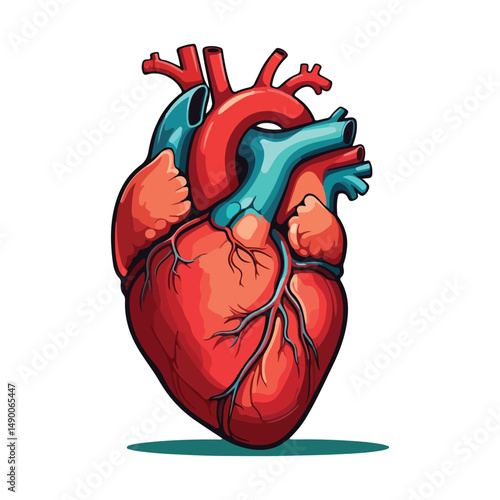 human heart Cartoon Vector Icon Illustration.Flat Cartoon Style illustration vector