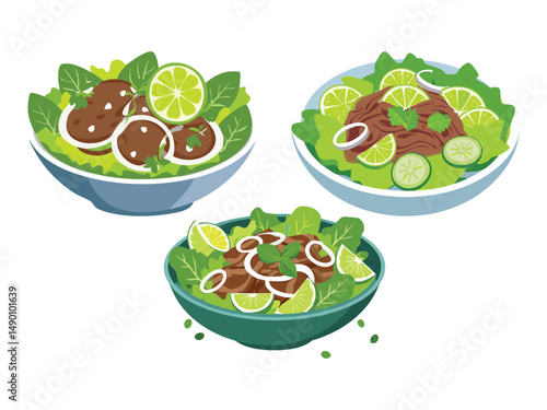 vector illustration of a vietnamese food Gỏi Bò (Beef Salad with Herbs and Lime Dressing)