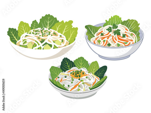 vector illustration of a vietnamese food Gỏi Gà (Vietnamese Chicken Salad with Cabbage and Herbs)