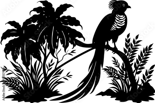 Silhouette of a beautiful resplendent quetzal bird in flight design, quetzal, resplendent, bird, avian, silhouette, vector, design, illustration, graphic, black, white, transparent, wildlife, nature, 