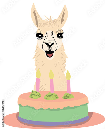 Andean animal and Birthdat Cake