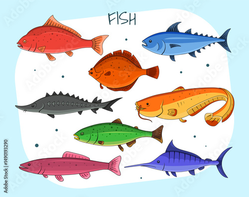 Diverse Fish Species Vector Set Colorful Aquatic Life Illustration. Perfect for use in educational materials, marine life designs, aquarium illustrations, seafood menus, and more.
