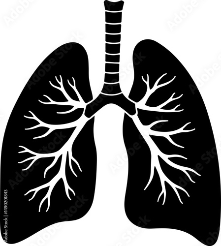 Human Lungs Silhouette vector