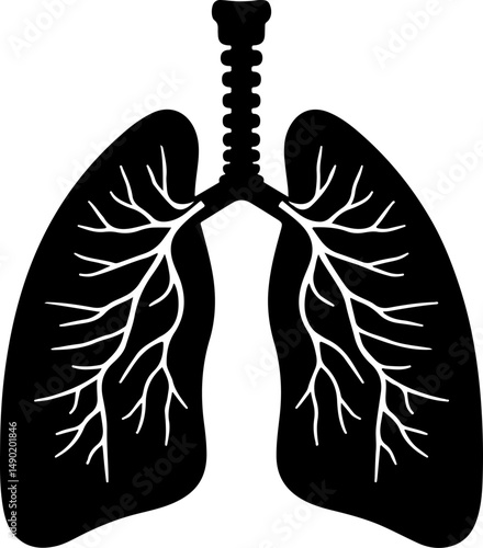 Human Lungs Silhouette vector