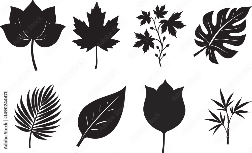 Fototapeta premium set of leaves silhouettes