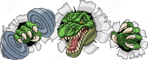 A crocodile, dinosaur or alligator lizard weight lifting trainer, exercise or body building gym cartoon sports mascot holding weights dumbbell