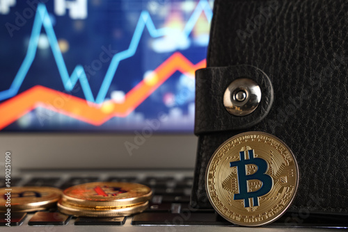 Wallet and bitcoins on lapt...