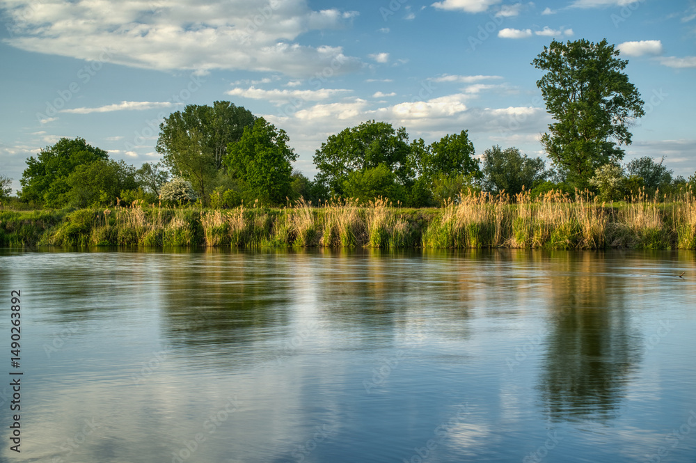Fototapeta premium Rzeka Pilica