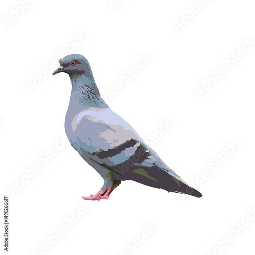 realistic colorful pigeons