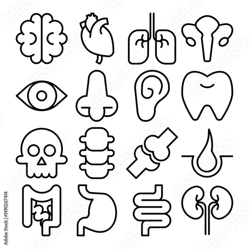 Set of Human Body Organ Line Icons – Brain, Heart, Lungs, Uterus, Eye, Nose, Ear, Tooth, Skull, Spine, Joint, Hair, Intestines, Stomach, Kidneys