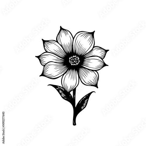Detailed monochrome floral illustration featuring artistic petal arrangements