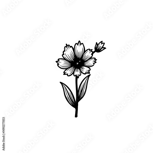 Elegant single flower illustration with delicate petals and refined line work