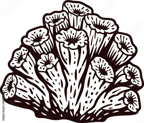 Detailed line art of coral reef structure with organic patterns and sea life elements