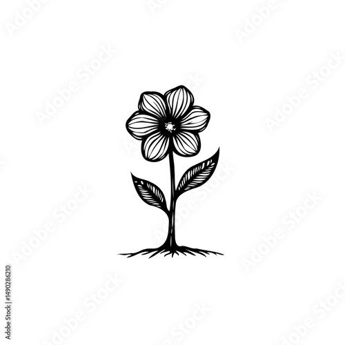 Minimalist botanical illustration of a blooming flower with roots on white