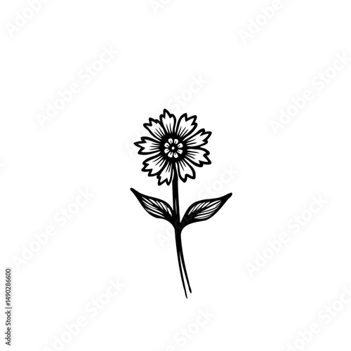 Delicate blossom monochrome line art illustration with detailed petals and leaves