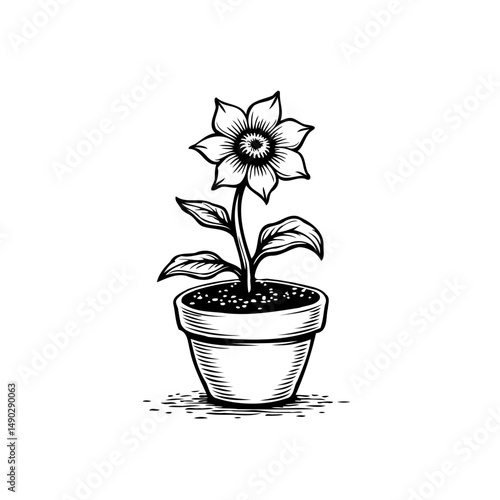 Monochrome botanical illustration of a flower in a textured pot illustration