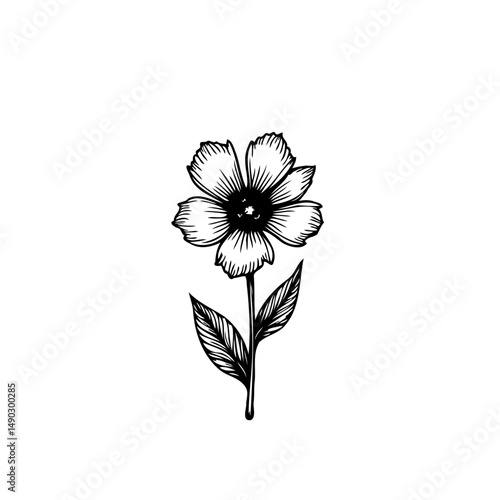 Elegant Floral Illustration: A Minimalist Botanical Study in Black and White