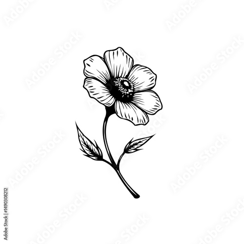 Elegant botanical line art: A delicately drawn flower with slender stem and leaves