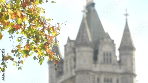 Autumn Leaves with Blurred Tower Bridge Spires in Background