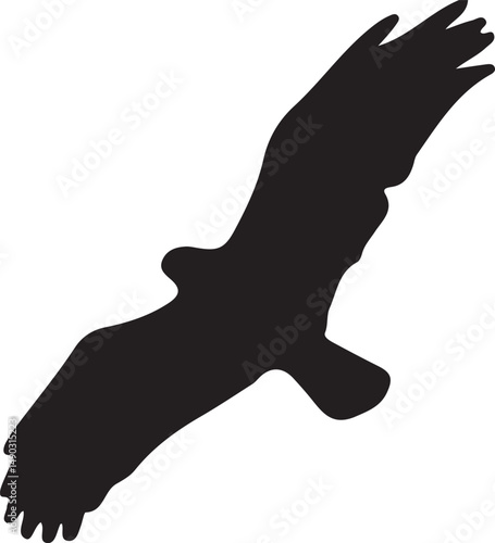 bird silhouette