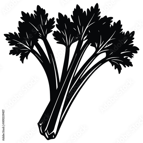 a bundle of celery stalks with long fibrous stems